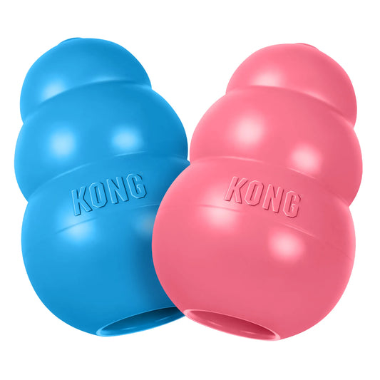 Kong Puppy