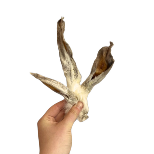 Rabbit Ears With Fur