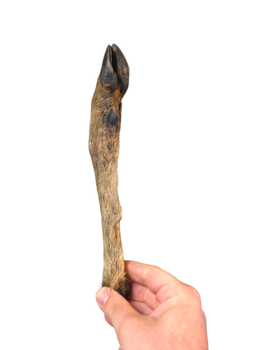 Furry Small Deer Legs