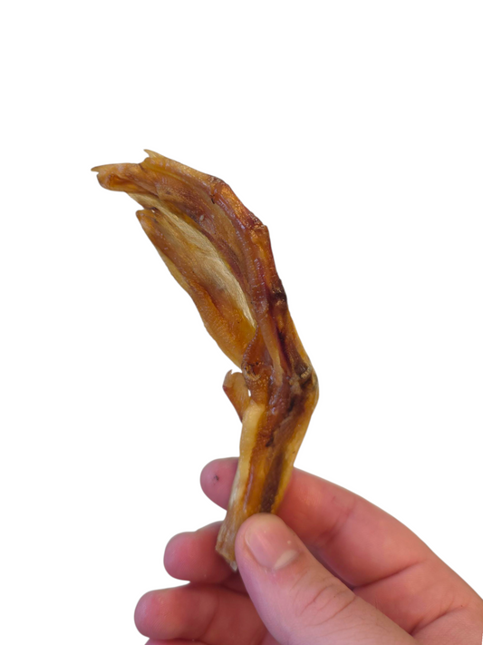 Duck Feet