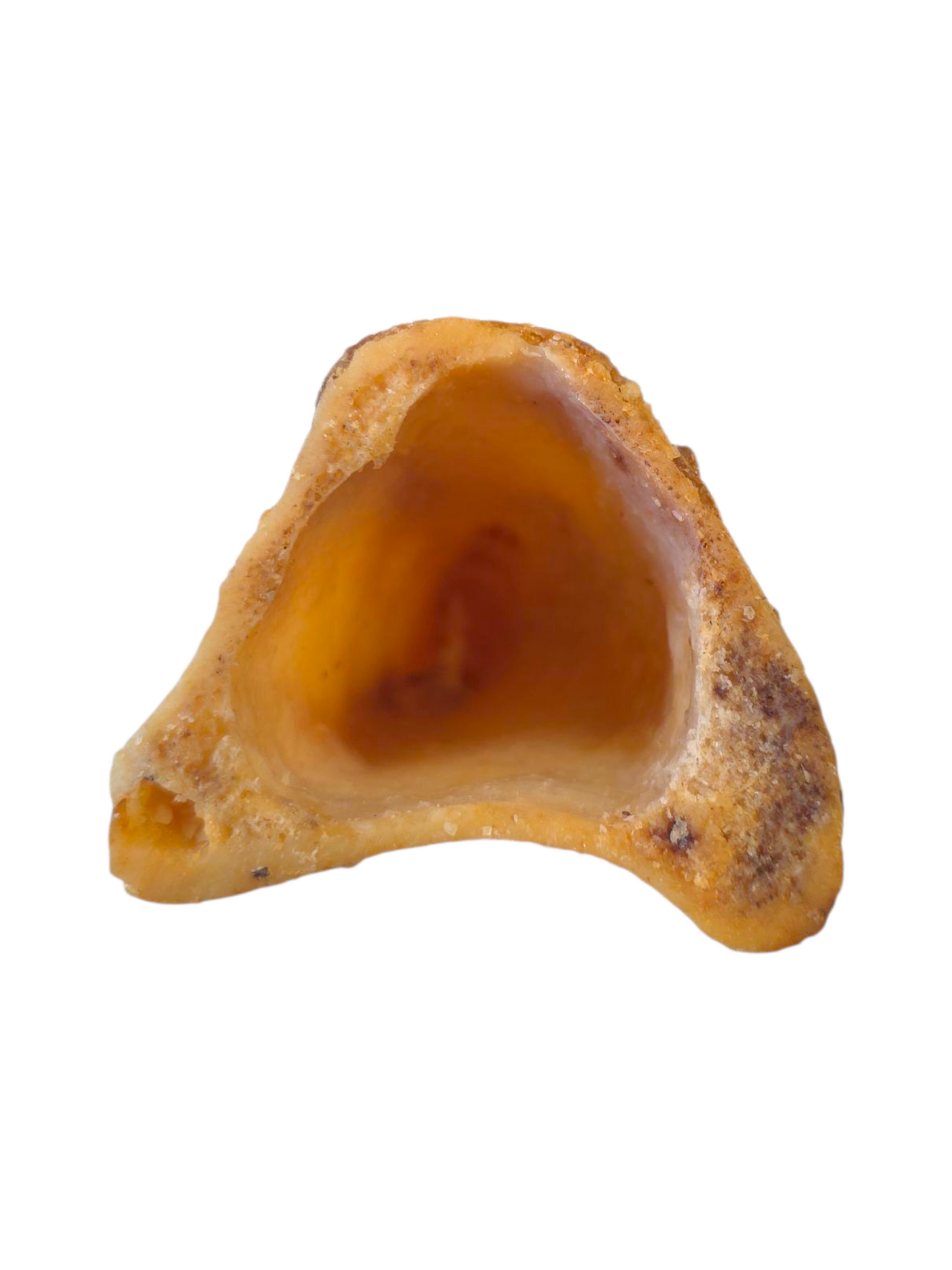 Shank Bone