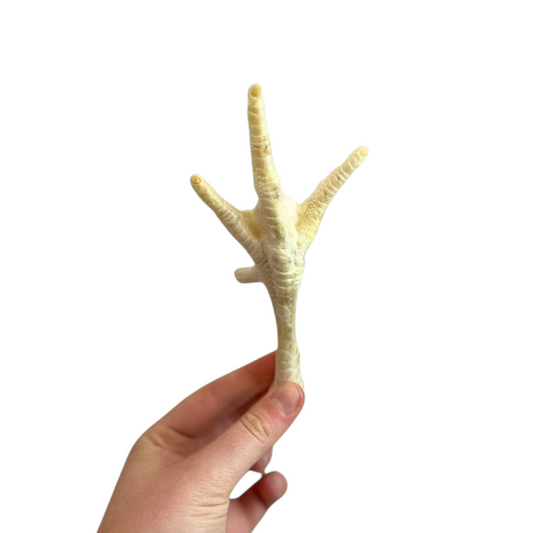 Puffed Chicken Feet