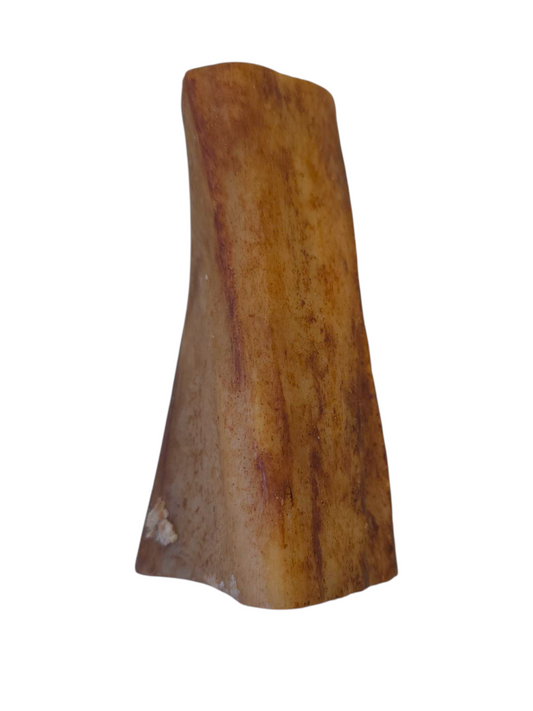 Filled Bones 12cm - 15cm