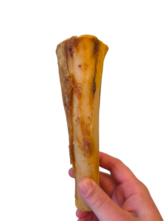 Shank Bone