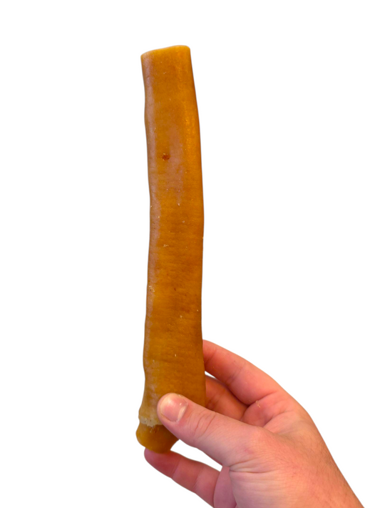 Pork Rhind 20cm - 25cm