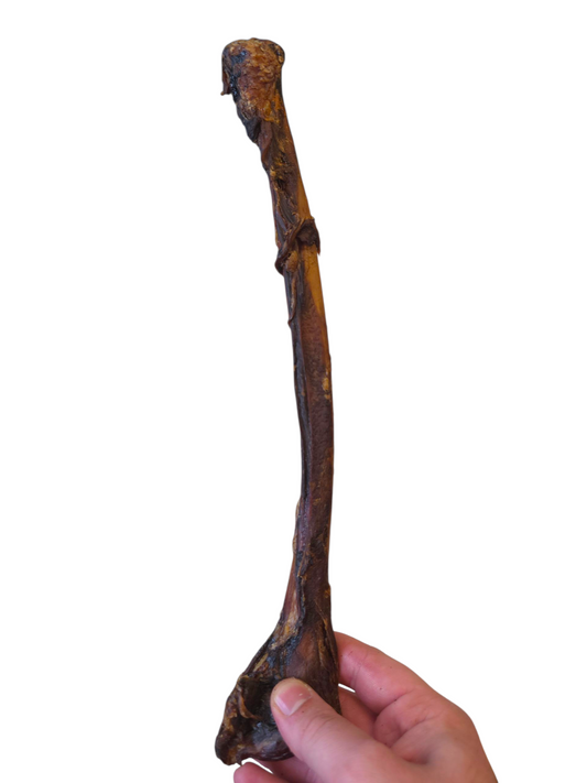 Ostrich Wing Bone