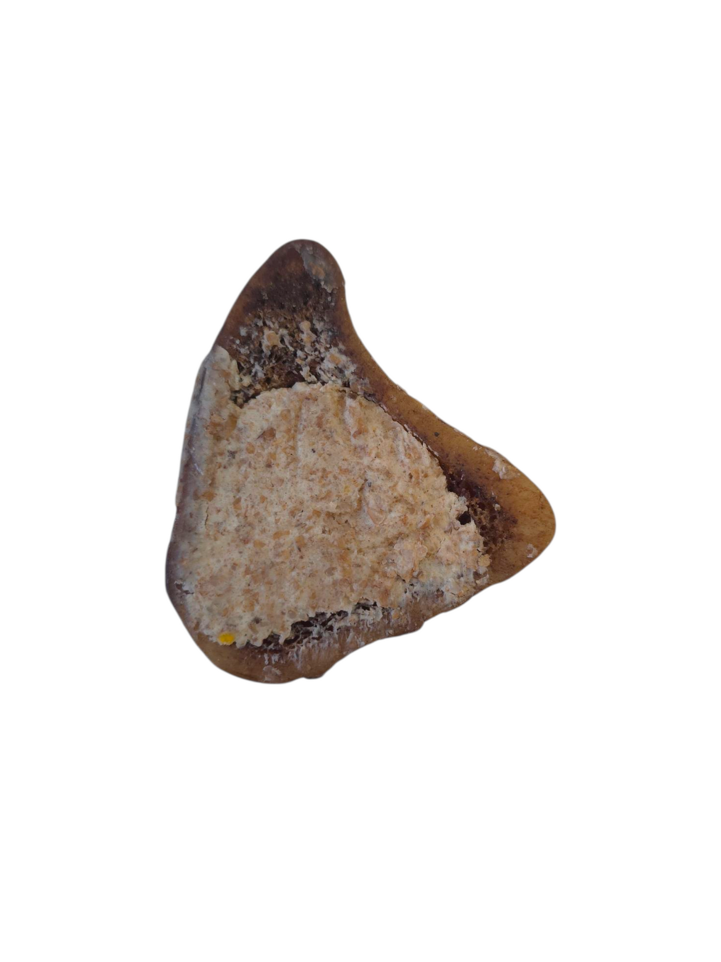 Filled Bones 12cm - 15cm