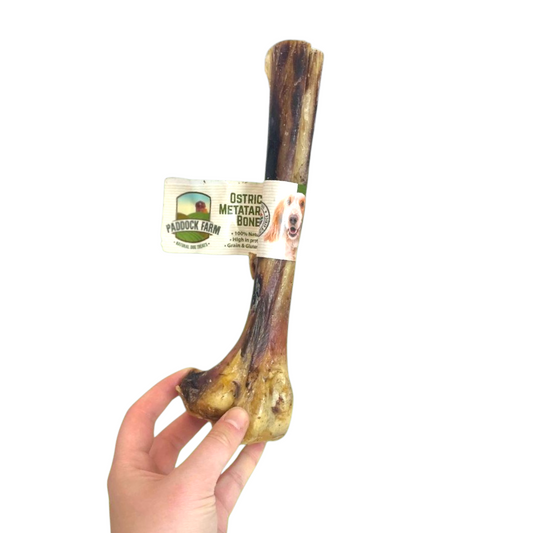 Ostrich Bone