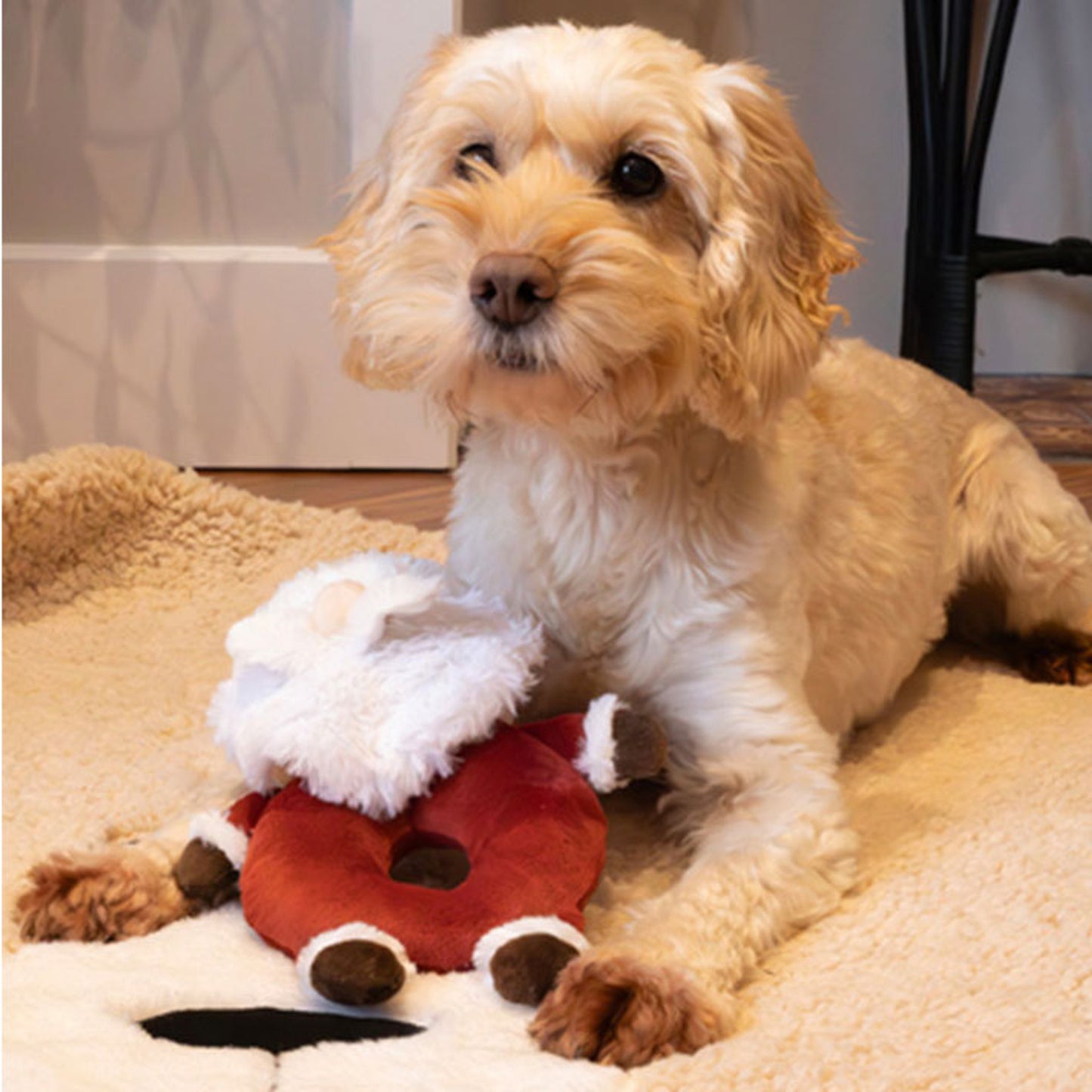Sylvester Santa