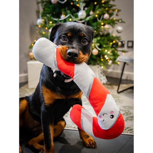 Comet Candy Cane