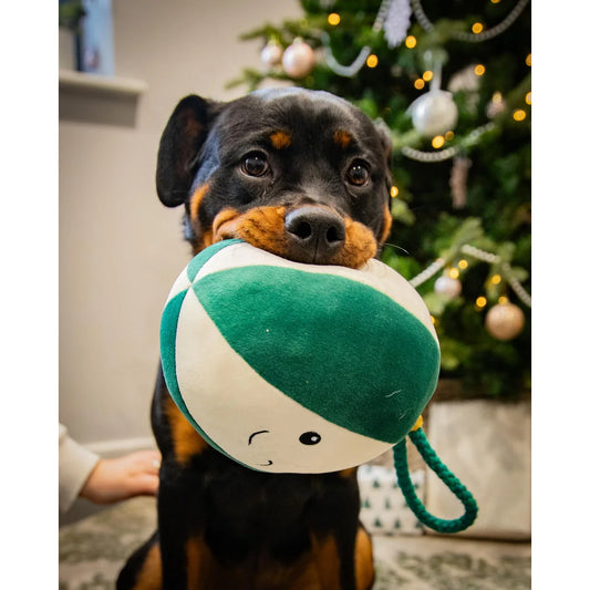 Blitzen Bauble