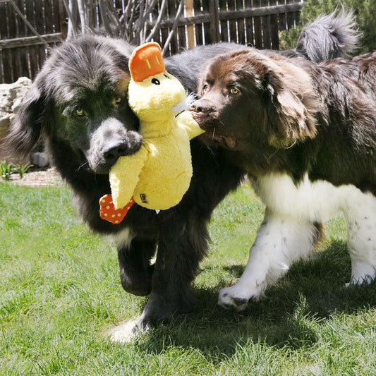KONG Comfort Jumbo Duck
