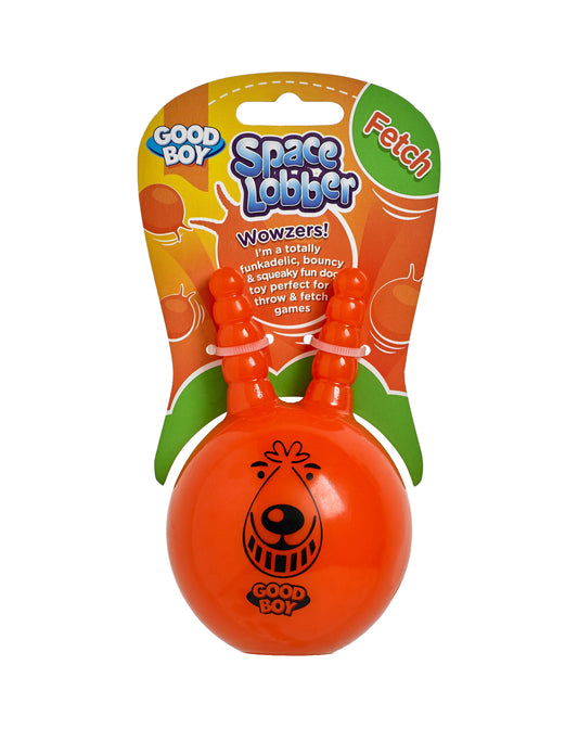 Good Boy Space Lobber Fetch