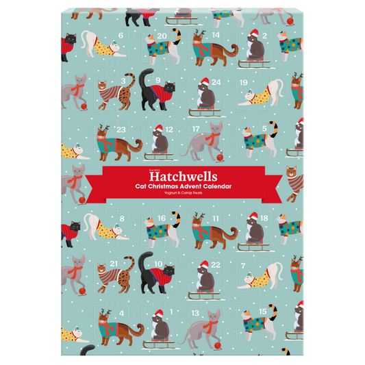 Hatchwells Cat Advent Calendar