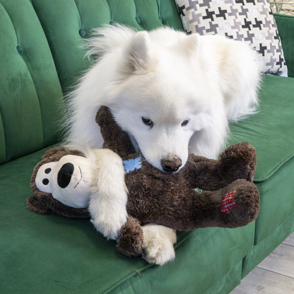 KONG Knots Bears