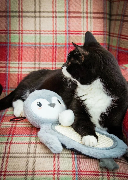 Mr Poppy Penguin