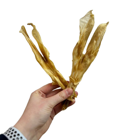 Rabbit Ears without Fur