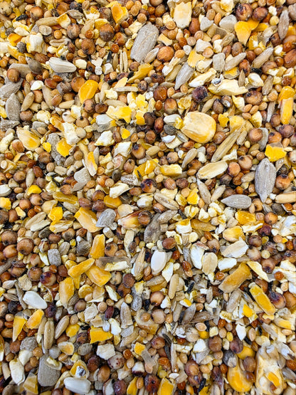 Premium Wild Bird Food - Bucktons