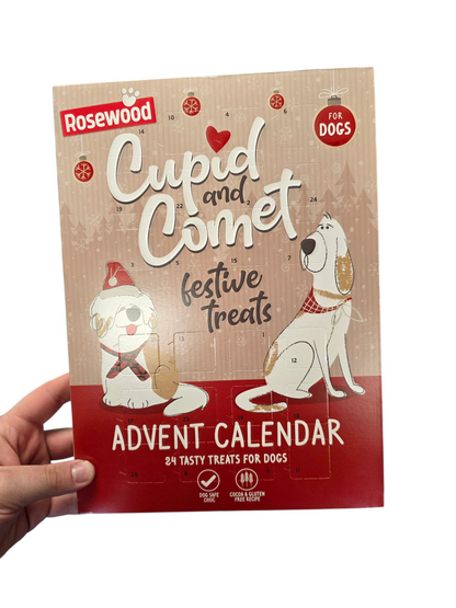 Chocolate Dog Advent Calendar