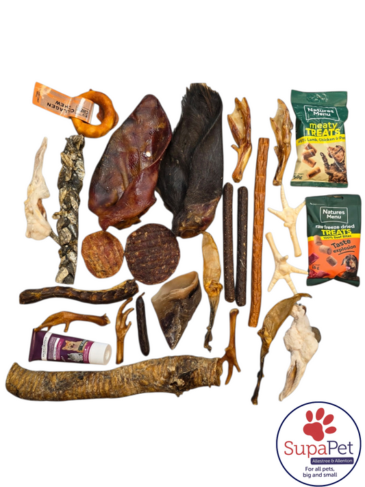 Bursting Budget Bundle