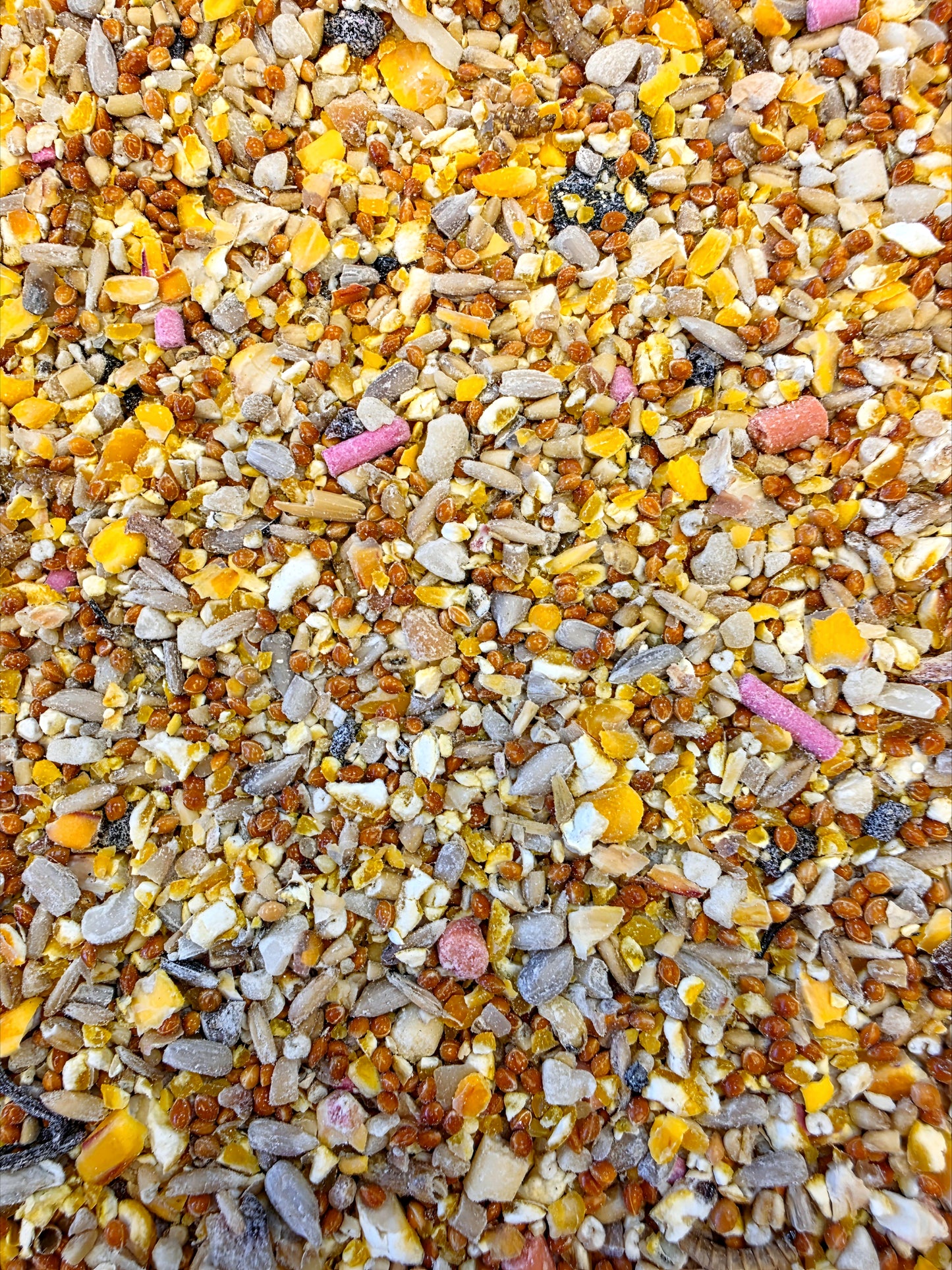 Robin & Songbird - Bucktons