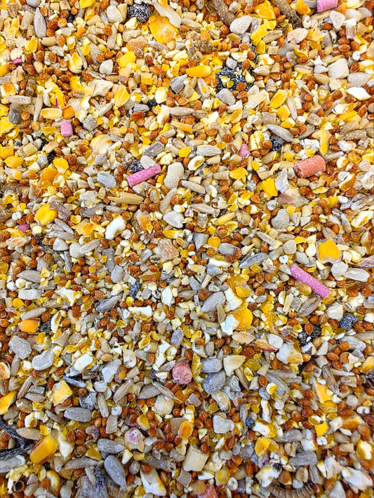 Robin & Songbird - Bucktons