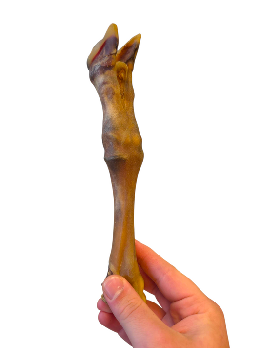 Lamb Feet (no fur)