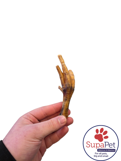 Starting Natural Variety Pack