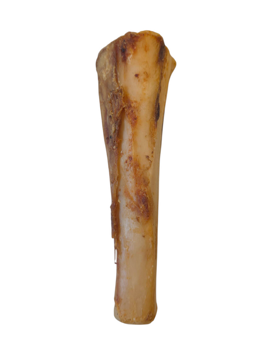 Shank Bone