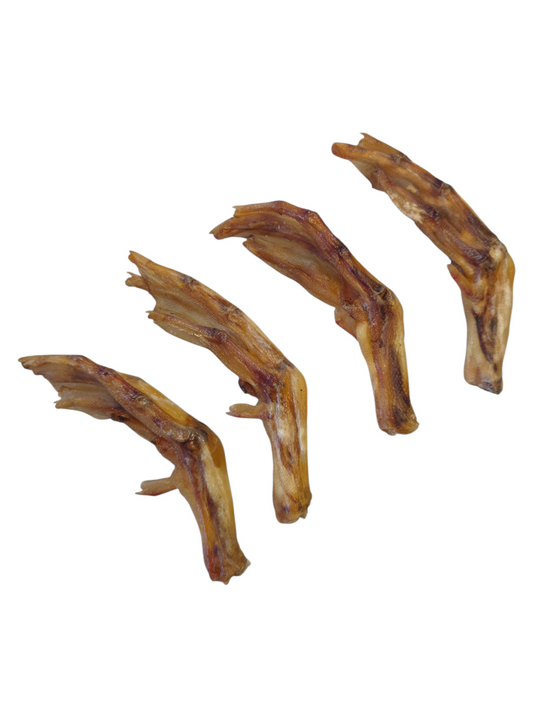 Duck Feet