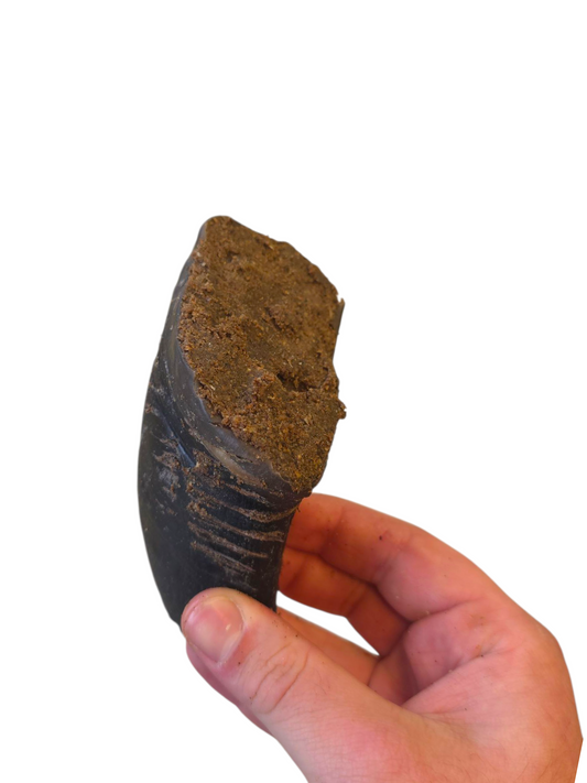 Cow Hooves