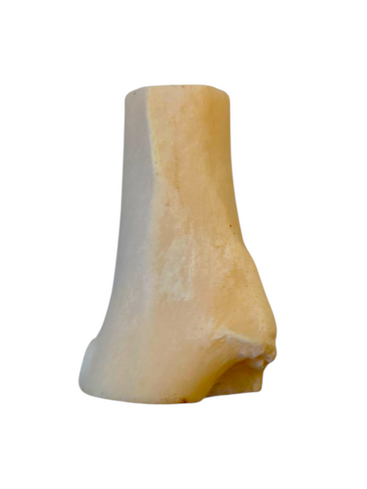 Filled Bones 12cm - 15cm