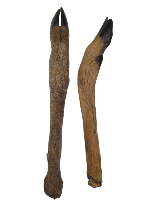 Furry Small Deer Legs
