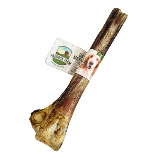 Ostrich Bone