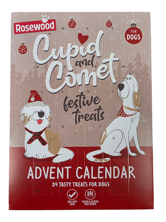 Chocolate Dog Advent Calendar