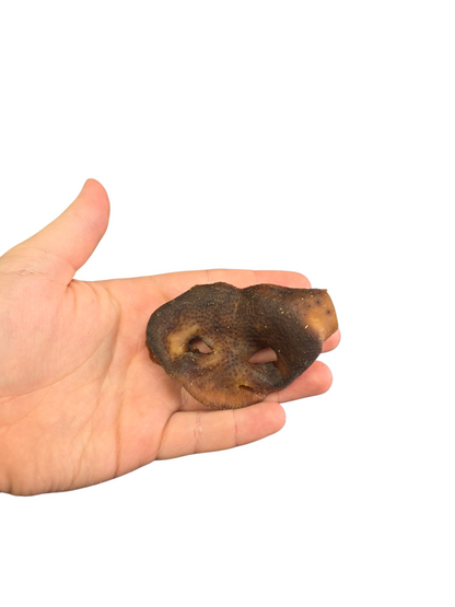 Natural Pig Snouts