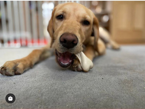 Mak's Patch Peanut Butter Dual Sided Bones