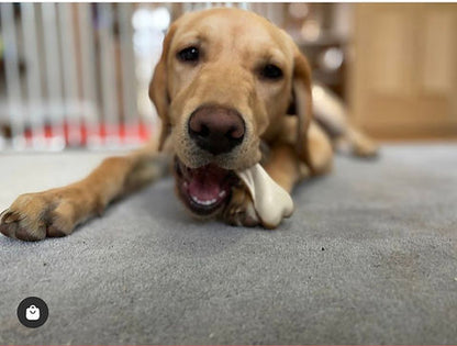 Mak's Patch Peanut Butter Dual Sided Bones