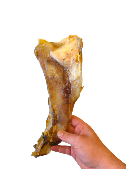 XL Moon Bone