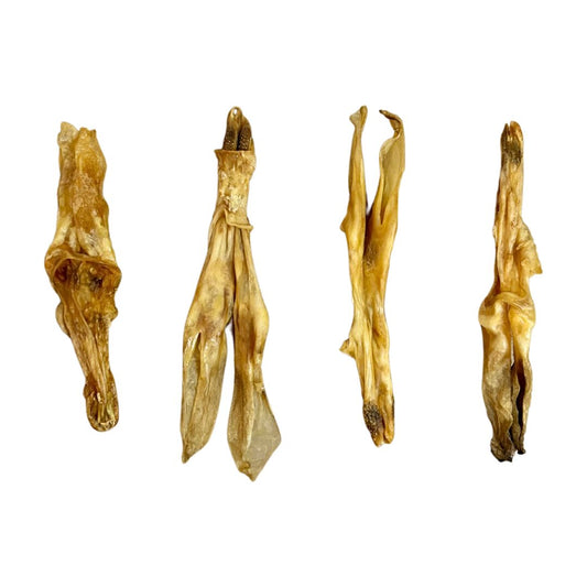 Rabbit Ears without Fur