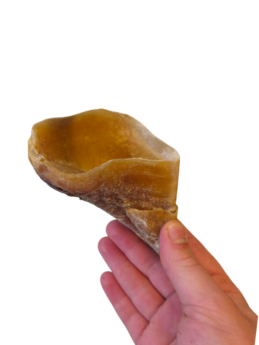 Cow Hooves