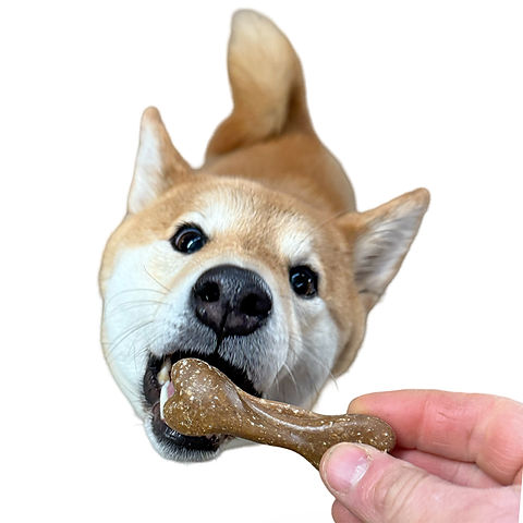 Maks'Patch Bed Time Biscuits