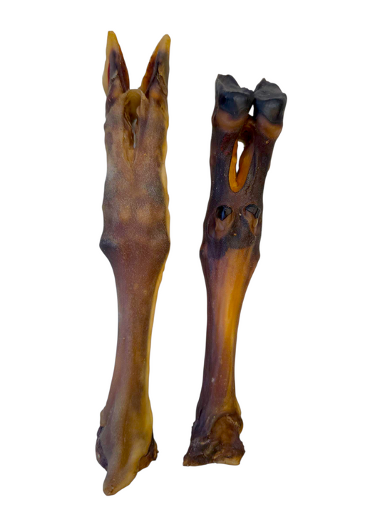 Lamb Feet (no fur)